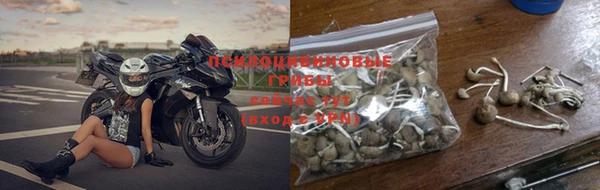 прущие грибы Армянск