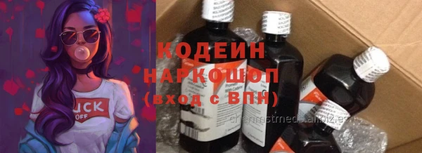 прущие грибы Армянск