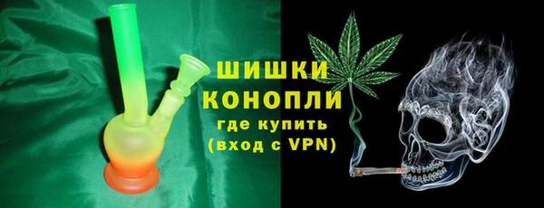 прущие грибы Армянск