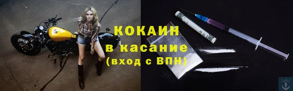 прущие грибы Армянск