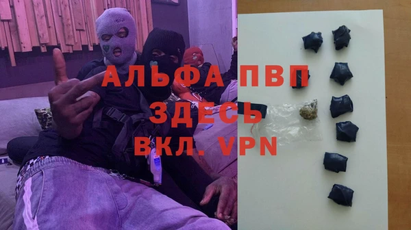 прущие грибы Армянск