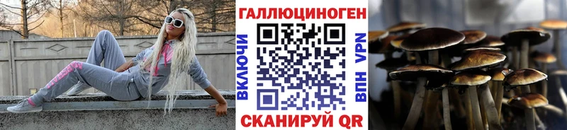 Галлюциногенные грибы Magic Shrooms  Купить закладки  Павловск 